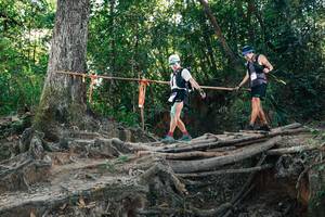 BIB: 
                            <button type="button" onclick="openModal(27752001)" class="btn btn-primary btn-sm float-right btn-popup" data-toggle="modal" data-target=".modal-high-quality">
                        <i class="fas fa-shopping-cart"></i> Add to Cart
                    </button>
                                            <button type="button" onclick="isThisMe(27752001, true)" class="btn btn-success btn-sm float-right btn-popup btn-isme hidden" data-toggle="tooltip" data-placement="bottom" title="นี่คือรูปของคุณใช่ไหม คลิกที่นี่เพื่อเอาเข้าอัลบั้ม">
                        <i class="fas fa-plus"></i> Add to album
                    </button>
                    <button type="button" onclick="isThisMe(27752001, false)" class="btn btn-warning btn-sm float-right btn-popup btn-isnotme hidden">
                        <i class="fas fa-ban"></i> Remove from album
                    </button>